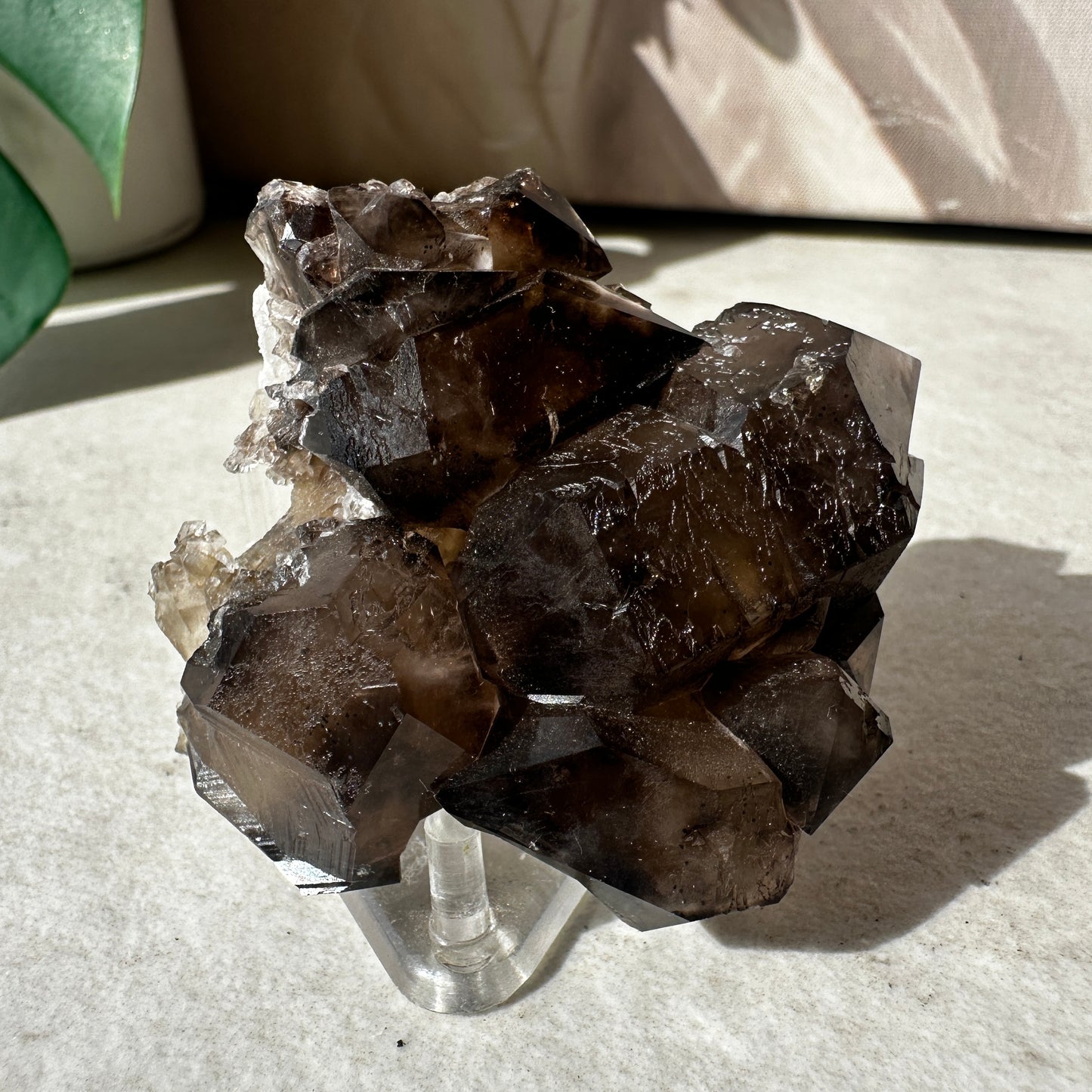 Australian Smoky Quartz Cluster