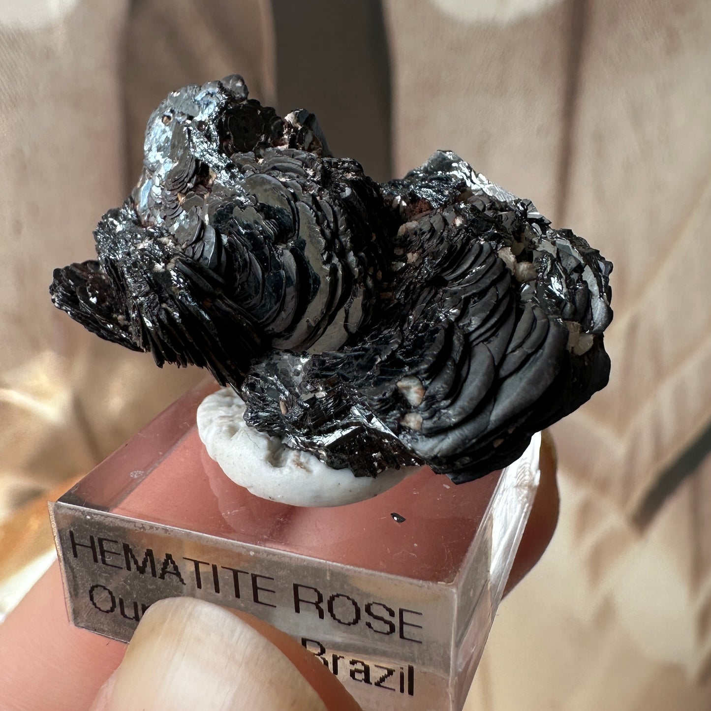 Hematite Rose (Ouro Preto, Brazil)