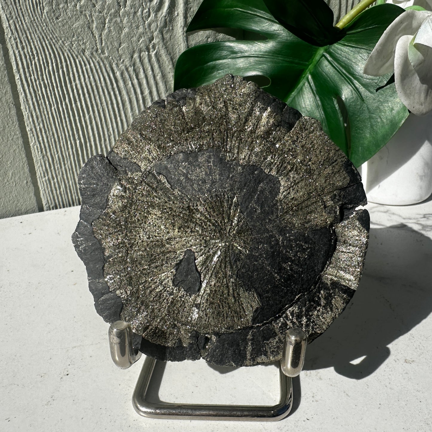 Medium Pyrite Sun