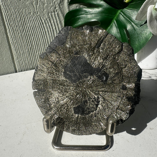 Medium Pyrite Sun