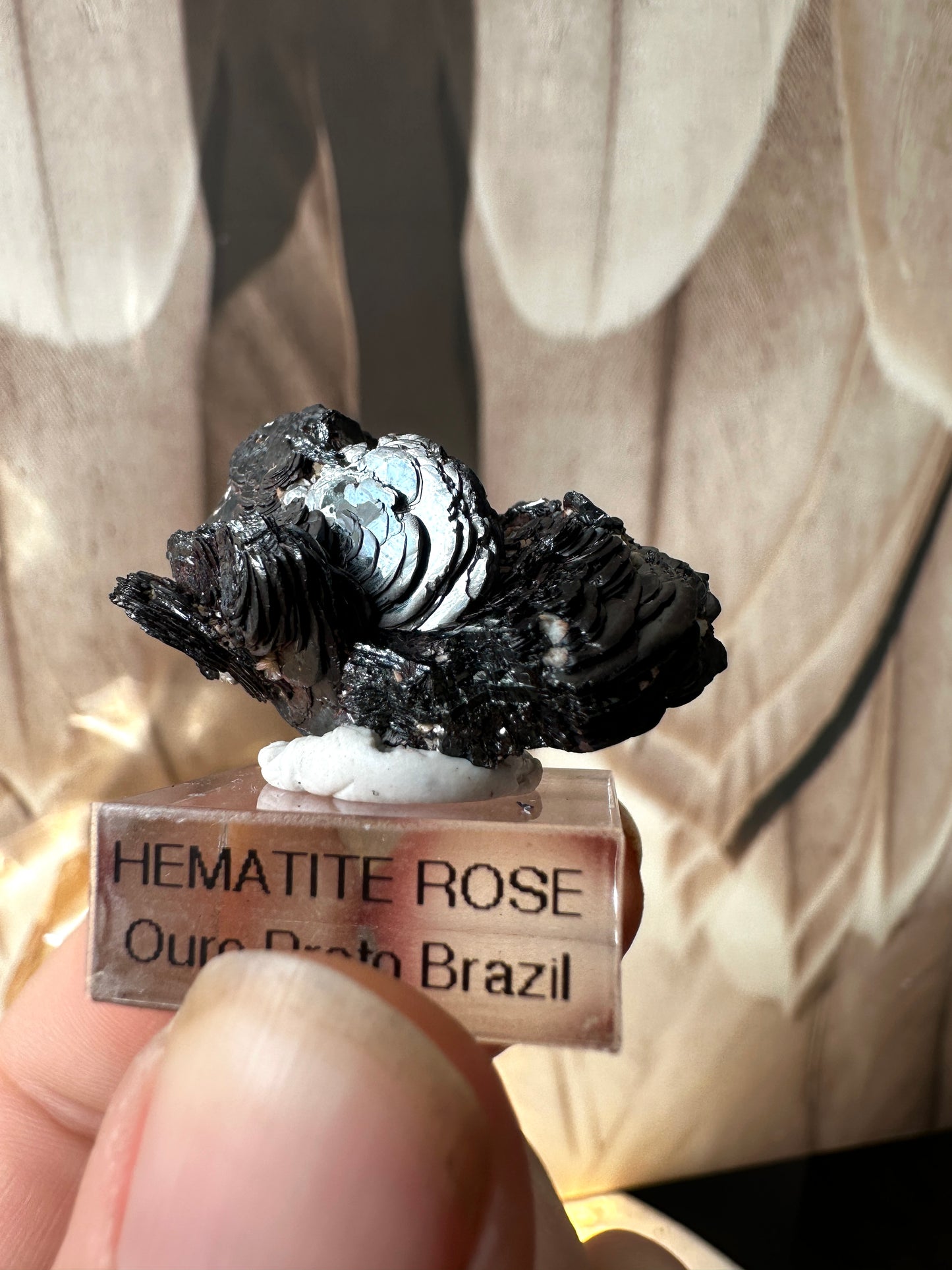 Hematite Rose (Ouro Preto, Brazil)